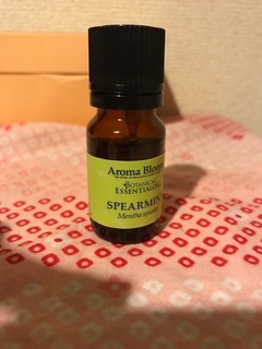 spear mint.jpg
