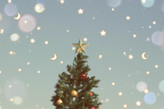 22652744_m-1024x684.png