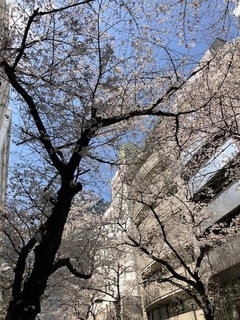 IMG_8978.jpg